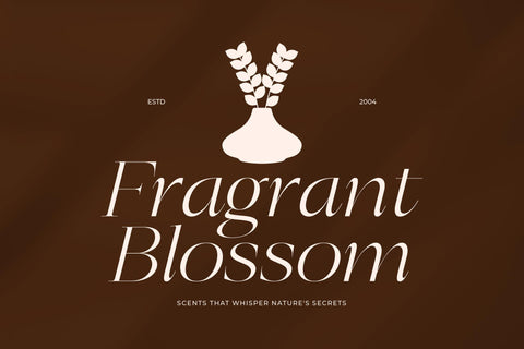 Berloja Satfline - Modern Serif Font Font Letterena Studios 