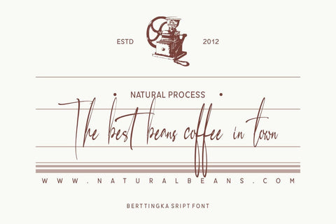 Berltingka Script Font muhammadzeky 