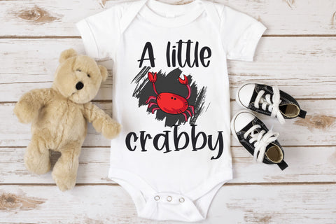 Berry Patch, farmhouse handwritten font duo for cricut Font Designing Digitals 