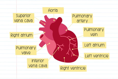 Best Friend - Cute Handwriting Font Font Jyllyco 