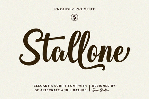 Best Script Font Bundle Font Suza Studio 