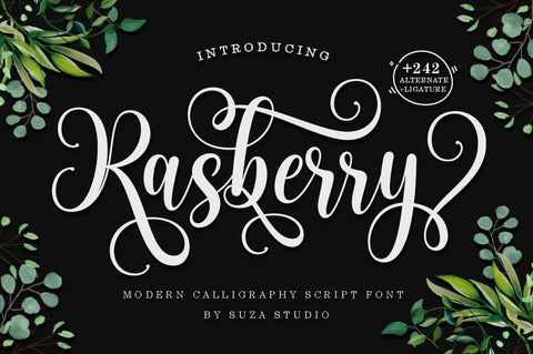 Best Script Font Bundle Font Suza Studio 