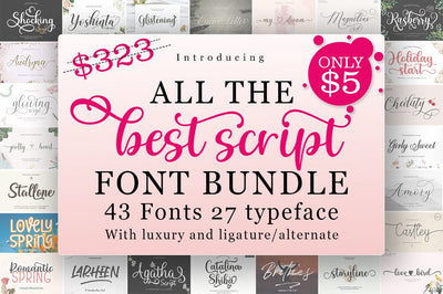 Best Script Font Bundle Font Suza Studio 