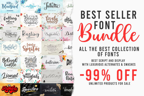 BEST SELLER FONT BUNDLE Font Rastype 