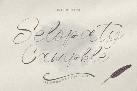 Best Seller Font Bundle Font Rastype 