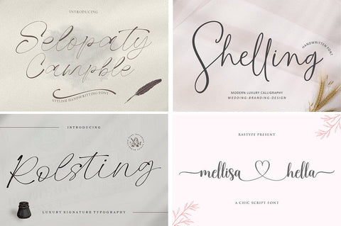 BEST SELLER FONT BUNDLE Font Rastype 