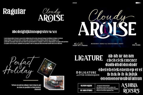 Best Seller Font Bundle Font Studio Rhd Store 