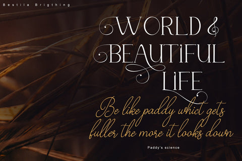 Bestiela brigthing Font Sulthan studio 