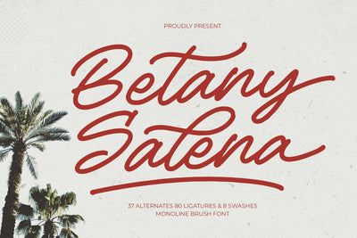 Betany Salena - Monoline Brush Font Font Letterena Studios 