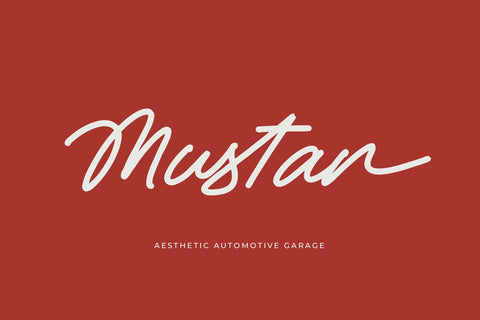 Betany Salena - Monoline Brush Font Font Letterena Studios 