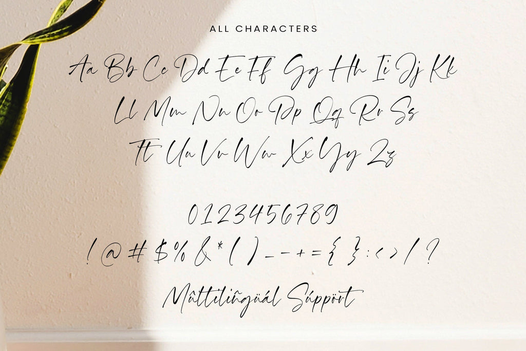 Bethany Radiant - Modern Handwritten Script Font - So Fontsy