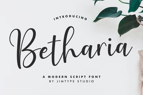 Betharia Script - Modern Business Font Font Jimtype Studio 