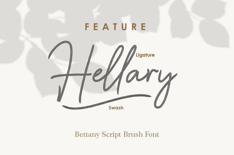 Bettany Script Brush Font Font Typebae 