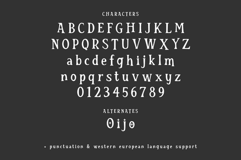 Bewitching Serif Font Font Beck McCormick 
