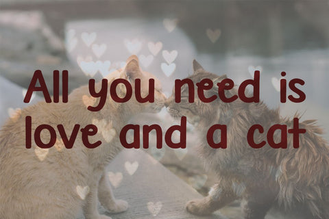 Biggest Cat Ever Font Misti's Fonts 