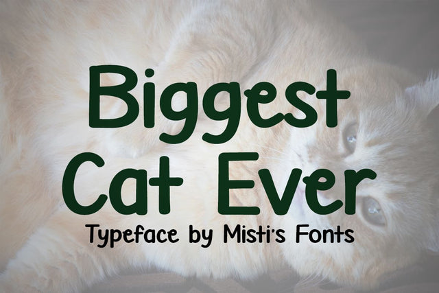 Biggest Cat Ever Font Misti's Fonts 