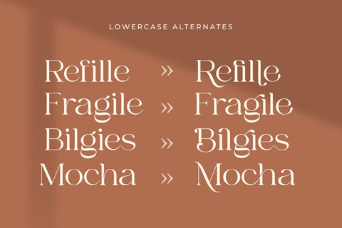 Bilgie Font Zeenesia Std 