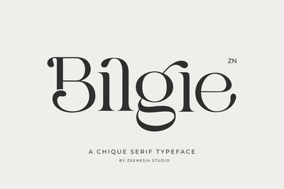 Bilgie Font Zeenesia Std 