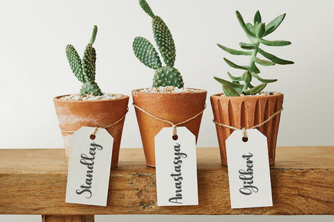 Bilqish Font Studio Natural Ink 