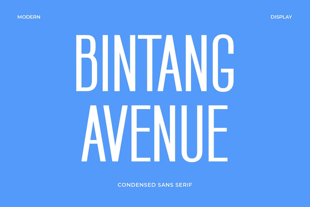 Bintang Avenue - Modern Sans Serif Font Font studioalmeera 