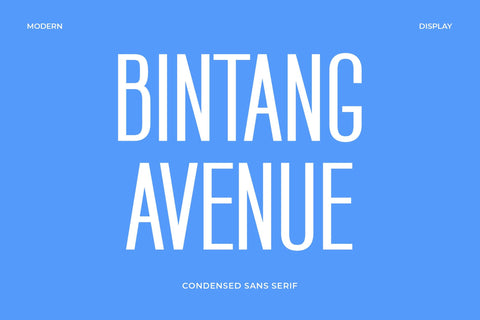 Bintang Avenue - Modern Sans Serif Font Font studioalmeera 
