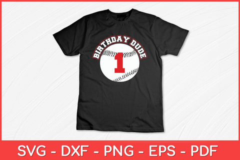 Birthday Dude1st 1 Year Old Boys Vintage Baseball Svg File SVG artprintfile 