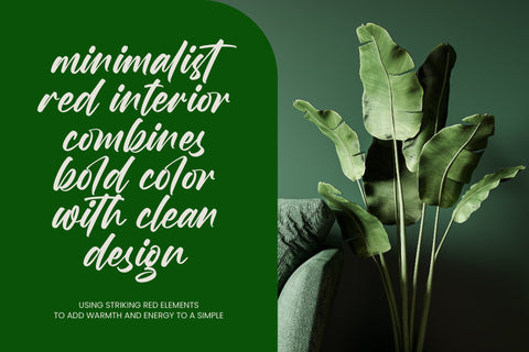 Birthday Shottera - Bold Handwritten Font Font Letterena Studios 