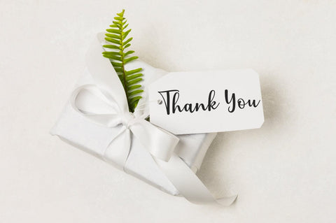 Biscuit Font Studio Natural Ink 