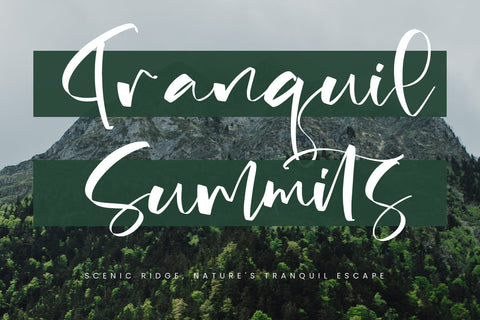 Bistania Mayneli - Freestyle Stylish Font Font Letterena Studios 