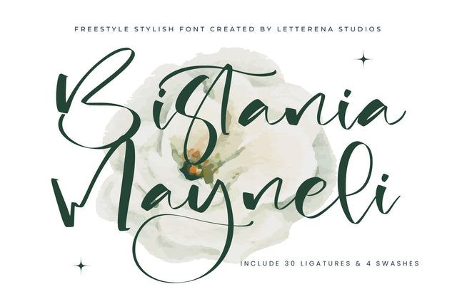 Bistania Mayneli - Freestyle Stylish Font Font Letterena Studios 