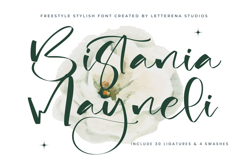 Bistania Mayneli - Freestyle Stylish Font Font Letterena Studios 