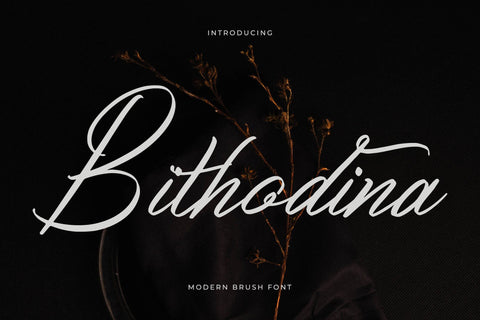 Bithodina - Modern Brush Font Font Letterena Studios 