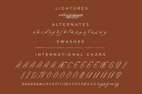 Bithodina - Modern Brush Font Font Letterena Studios 