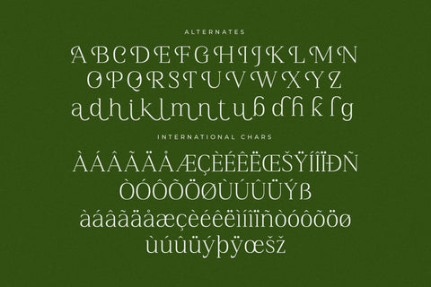 Blacindy - Modern Serif Font Font Letterena Studios 