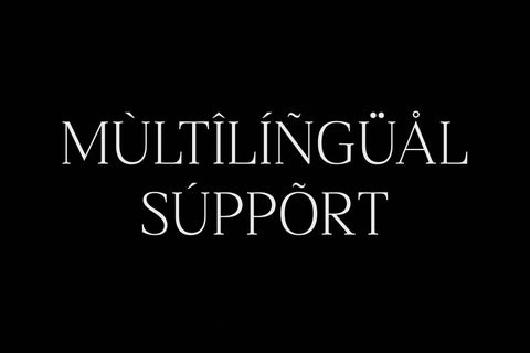 Blacindy - Modern Serif Font Font Letterena Studios 