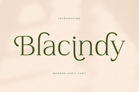 Blacindy - Modern Serif Font Font Letterena Studios 