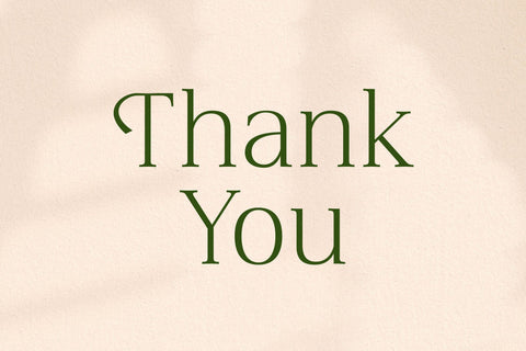 Blacindy - Modern Serif Font Font Letterena Studios 