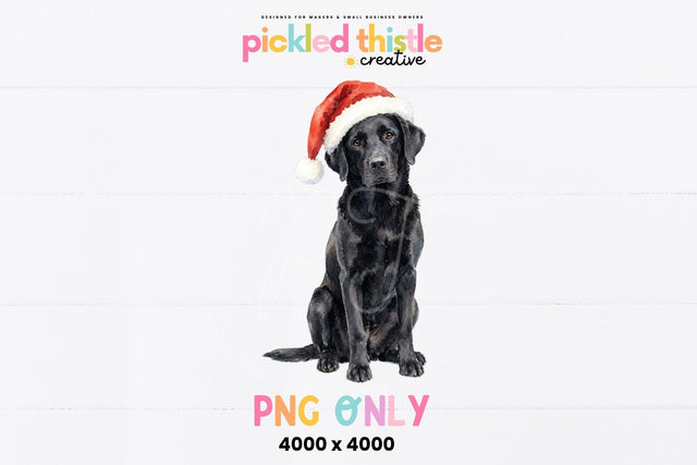 Black Lab Christmas PNG, Labrador PNG Sublimation Pickled Thistle Creative 