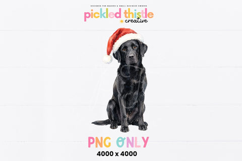 Black Lab Christmas PNG, Labrador PNG Sublimation Pickled Thistle Creative 