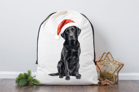 Black Lab Christmas PNG, Labrador PNG Sublimation Pickled Thistle Creative 