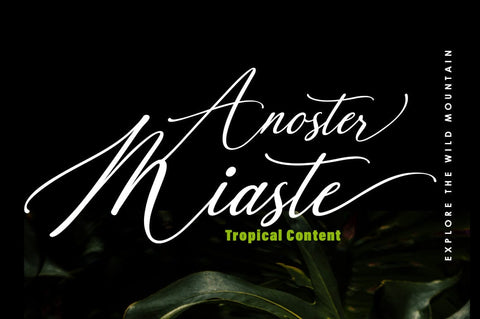 Black Paris Font gatype 