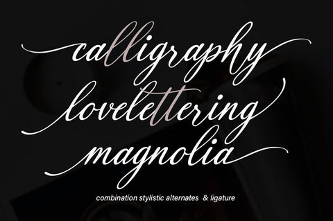 Black Paris Font gatype 