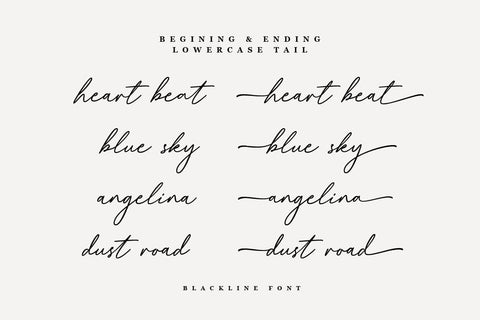 Blackline - Script Font with Swash Font Typebae 