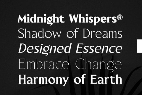 Blackney Font Family Font Arterfak Project 