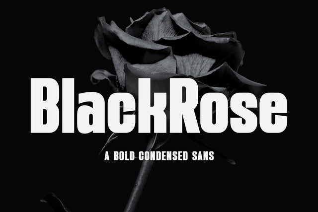 BlackRose - A Bold Condensed Sans Font studioalmeera 