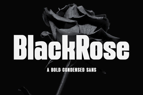 BlackRose - A Bold Condensed Sans Font studioalmeera 