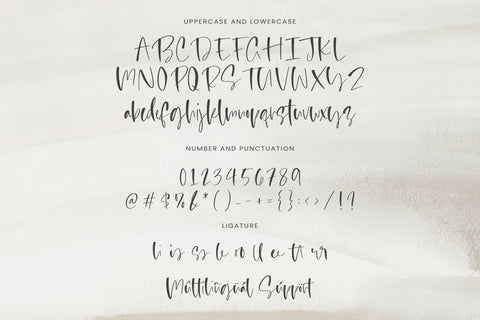 Blessed Primrose - Stylish Handwritten Font Font Timur type 