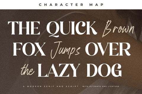Blissful Heartlight Font Duo Font Storytype Studio 
