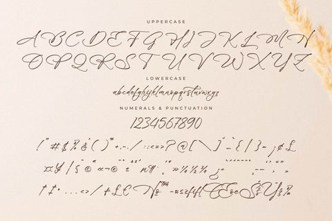 Blissfuly Magnotia - Modern Elegant Script Font Letterena Studios 