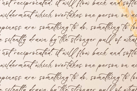 Blissfuly Magnotia - Modern Elegant Script Font Letterena Studios 